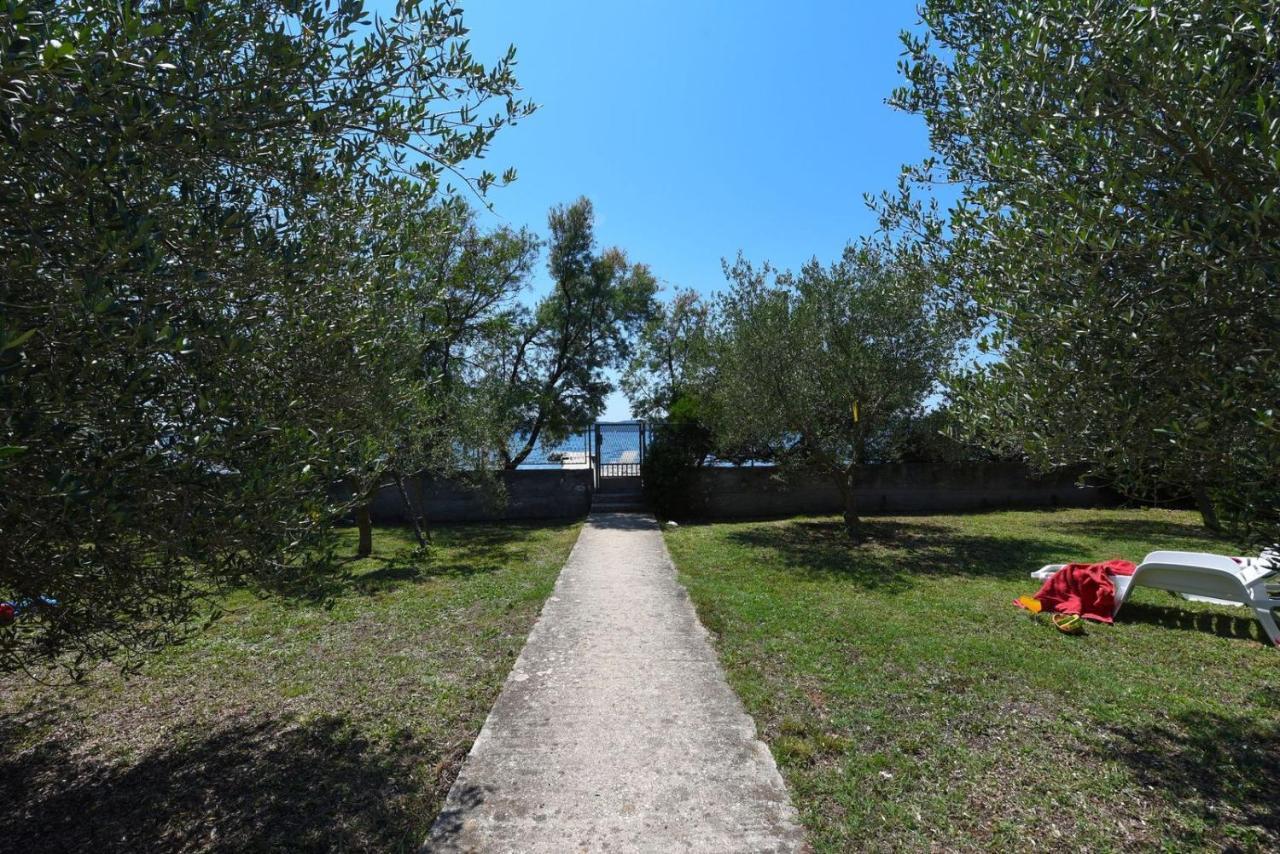 Apartments Bibinje By The Beach Εξωτερικό φωτογραφία